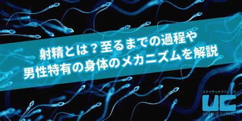 射精とは？至るまでの過程や男性特有の身体のメカニ。